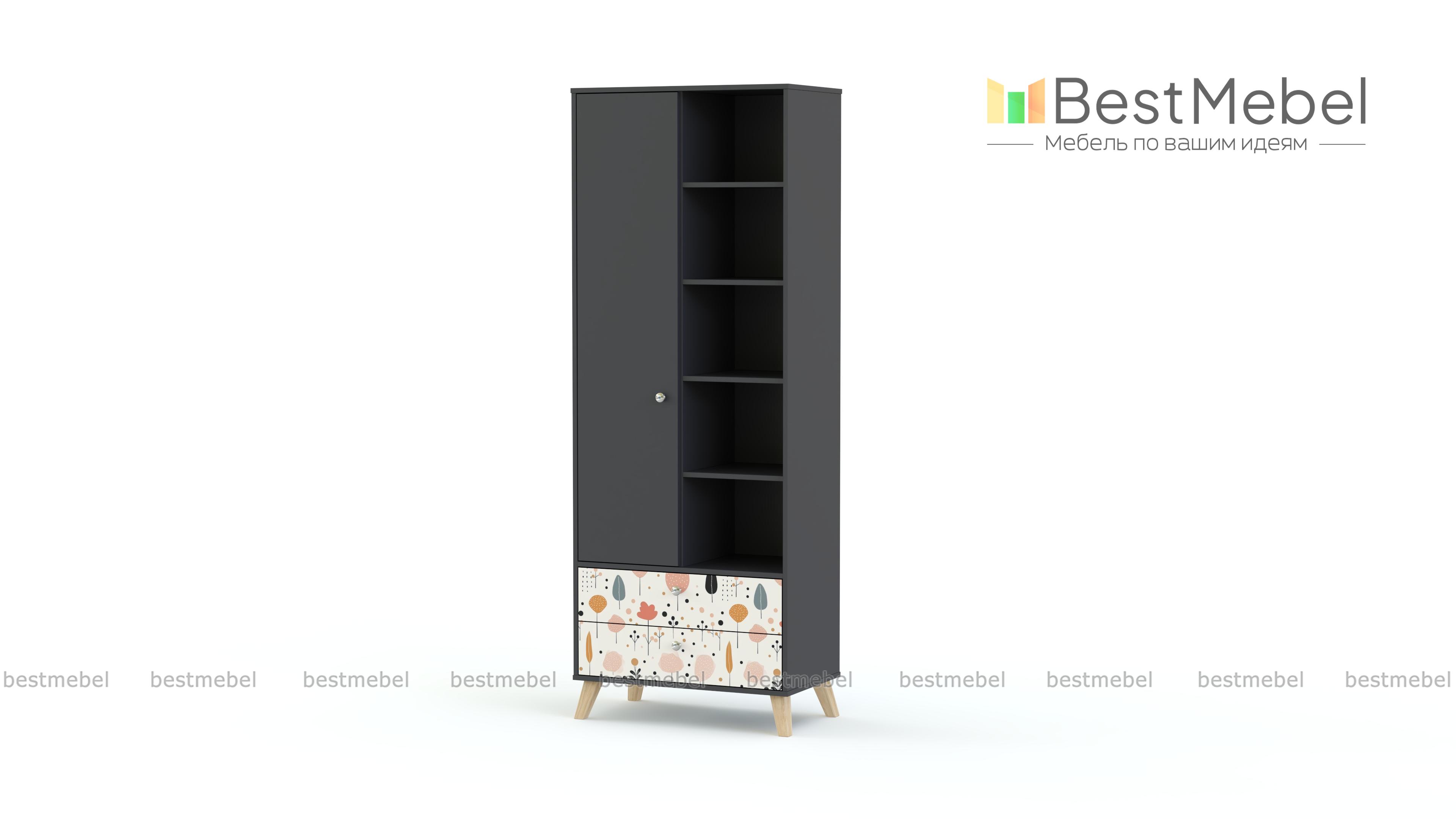 Шкаф распашной Эльза 2 BMS - Фото